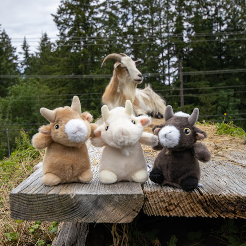 Toys for Goats