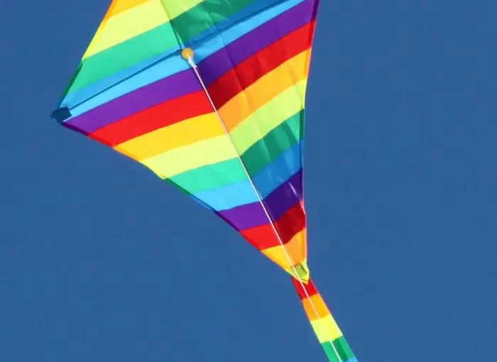 Diamond Kite : quadrilateral kite