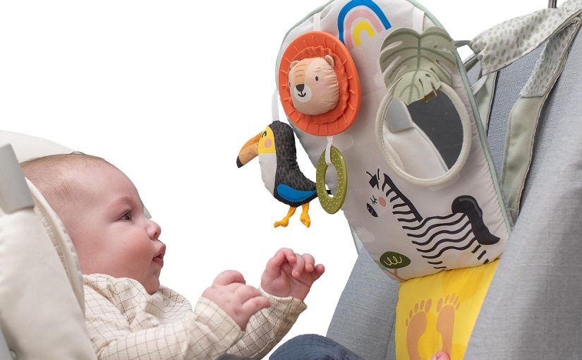 baby car seat toys