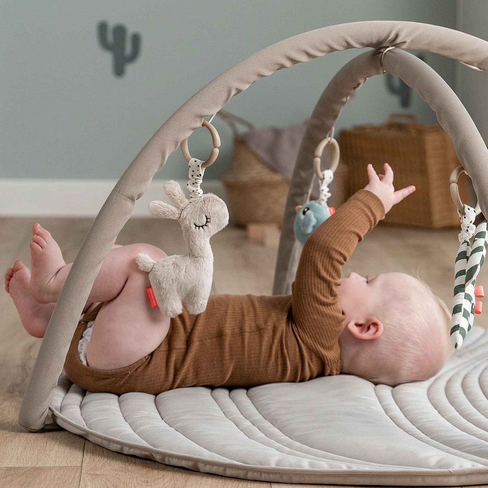 newborn baby toys